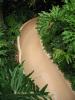 img587.jpeg.small.jpeg