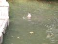 img598.jpeg.small.jpeg
