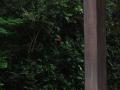 img606.jpeg.small.jpeg