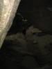 img082.jpeg.small.jpeg