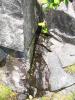 img175.jpeg.small.jpeg