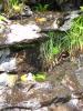 img176.jpeg.small.jpeg