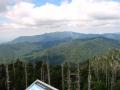 img183.jpeg.small.jpeg