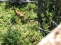 img198.jpeg.small.jpeg