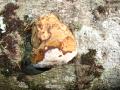 img206.jpeg.small.jpeg