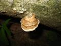 img207.jpeg.small.jpeg