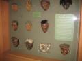 img225.jpeg.small.jpeg