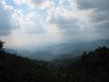 img245.jpeg.small.jpeg