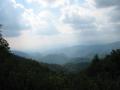 img246.jpeg.small.jpeg