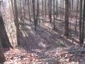 img085.jpeg.small.jpeg
