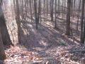 img086.jpeg.small.jpeg
