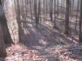 img087.jpeg.small.jpeg