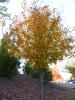 img096.jpeg.small.jpeg