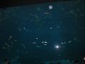 img105.jpeg.small.jpeg