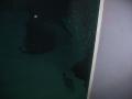 img107.jpeg.small.jpeg
