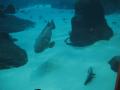 img109.jpeg.small.jpeg