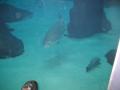 img110.jpeg.small.jpeg