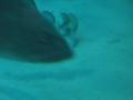 img116.jpeg.small.jpeg