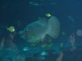 img118.jpeg.small.jpeg