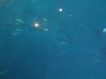 img119.jpeg.small.jpeg