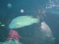 img120.jpeg.small.jpeg