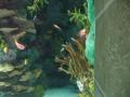 img127.jpeg.small.jpeg