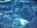 img142.jpeg.small.jpeg