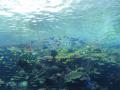 img146.jpeg.small.jpeg