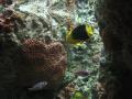 img150.jpeg.small.jpeg