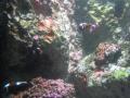 img151.jpeg.small.jpeg