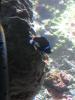 img152.jpeg.small.jpeg