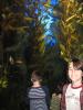 img157.jpeg.small.jpeg