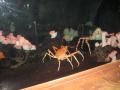 img161.jpeg.small.jpeg