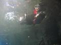 img167.jpeg.small.jpeg