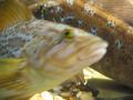 img168.jpeg.small.jpeg