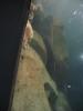 img171.jpeg.small.jpeg