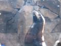 img182.jpeg.small.jpeg