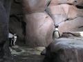img185.jpeg.small.jpeg