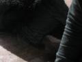 img186.jpeg.small.jpeg