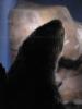 img187.jpeg.small.jpeg