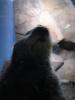 img188.jpeg.small.jpeg