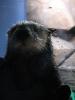 img189.jpeg.small.jpeg