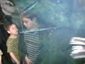 img196.jpeg.small.jpeg