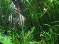 img204.jpeg.small.jpeg