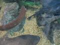 img207.jpeg.small.jpeg