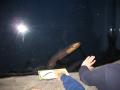 img212.jpeg.small.jpeg