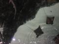 img324.jpeg.small.jpeg