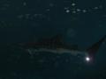 img326.jpeg.small.jpeg