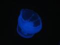 img344.jpeg.small.jpeg