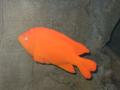 img356.jpeg.small.jpeg